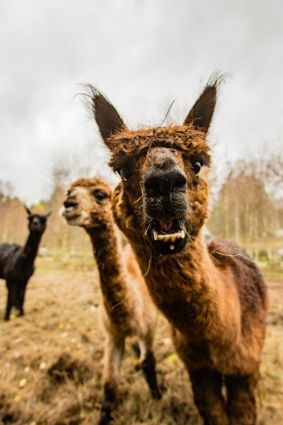 5 ‘weird’ Things Not To Say To Your Friend Who Reads Fiction