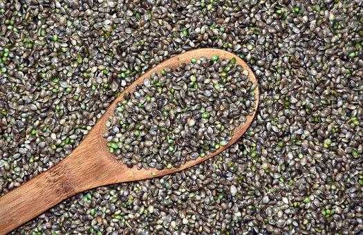 5 Amazing Benefits Of Hemp Seed Oil For Skin And Hair | Beauty Tending