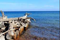 5 Day Road Trip Through “Pure Michigan”