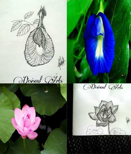 5 Minute March: Flowers Of Kerala