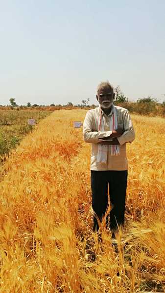 5 Point Someone - A Farmer’s Take On Life, Work And Economics