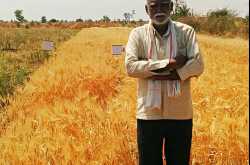 5 point someone - a farmer’s take on life, work and economics