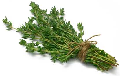 6 Amazing Health Benefits Of Thyme | Indian Weight Loss Blog