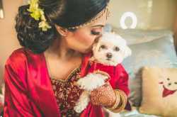 7 Adorable Pictures of Pets At Weddings! | Weddingplz