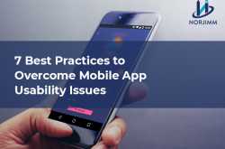 7 BEST PRACTICES TO OVERCOME MOBILE APP USABILITY ISSUES - Norjimm