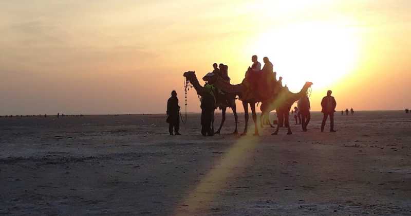 A Complete Tour Guide To Rann Utsav:  A Confluence Of Nature’s Bleak And Beauty