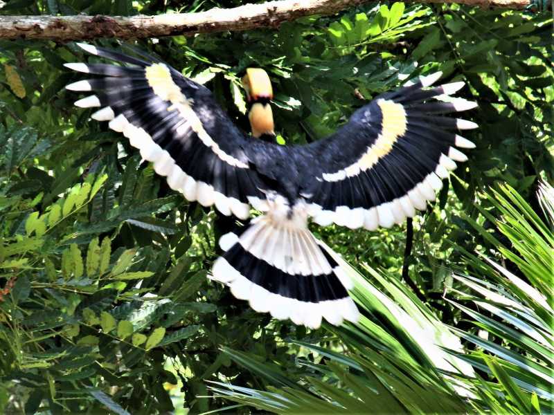 A‘Famosa Resort Experience In Malacca Malaysia - I Share