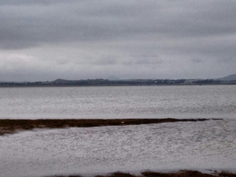 A Friend From Previous Life