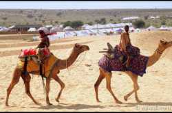 A Page from the Rajasthan Dairy!!