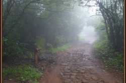 A Piece Of Heaven In The Wild