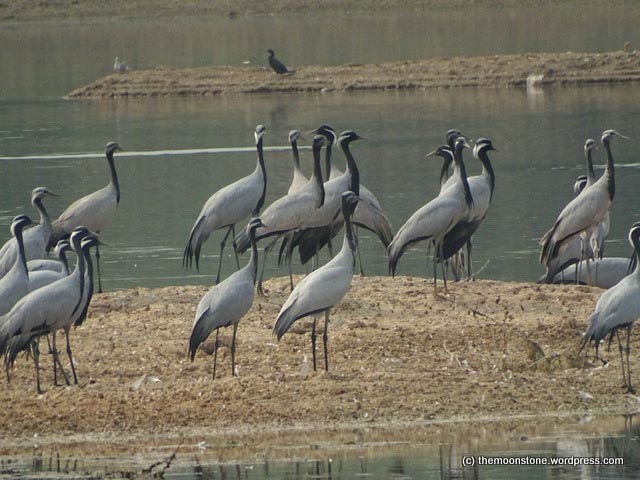 A Rustic Interlude In Rajasthan