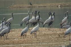 A Rustic Interlude in Rajasthan