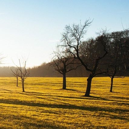 A Tribute To Joy Goswami