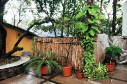 A Weekend in Alibaug’s Best-Kept Secret @ Ccaza Ccomodore