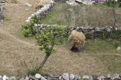 A month in Uttarkashi, Himalayas 