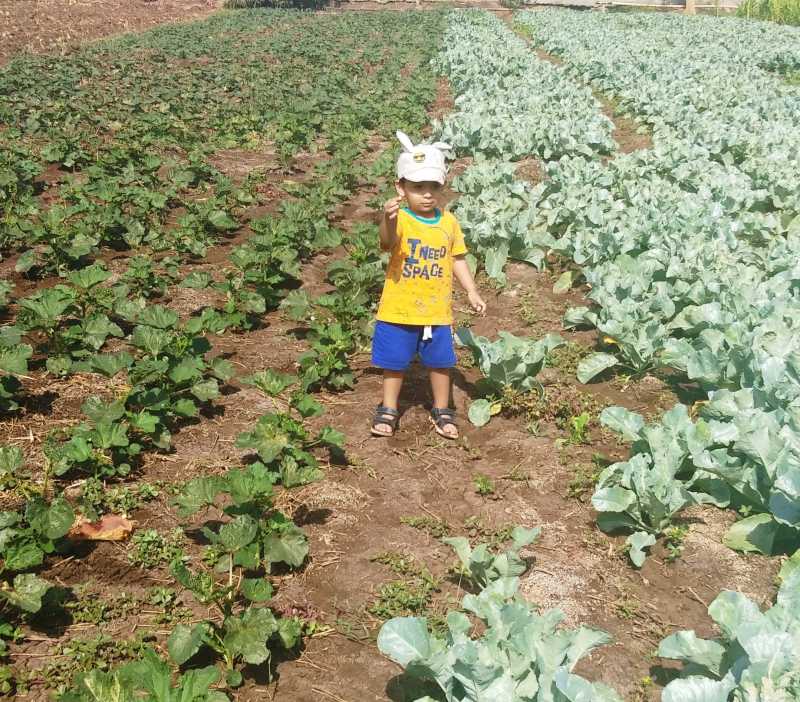 A Visit To The Indian Farms With My Toddler