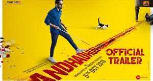 ANDHADHUN (HINDI) (2018)