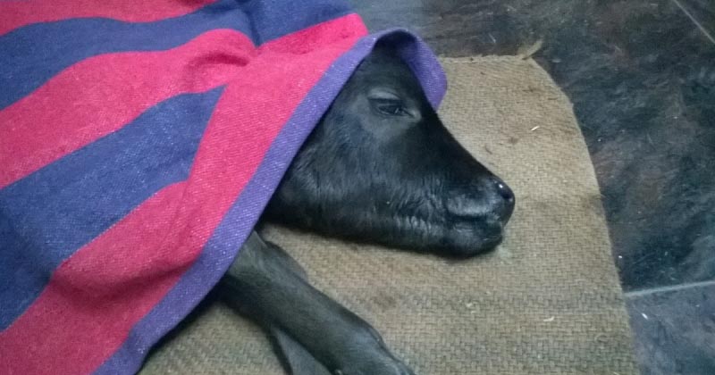 Aaarrghhh!  When Will I Ever Learn!!!