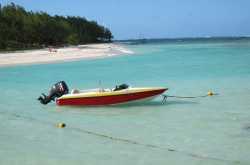 Acres of Sugar Cane - Fulltank Please