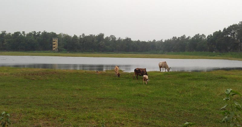 Adventures Of A Single, Female Backpacker - VI