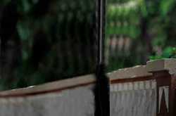 All Background And Png 2019