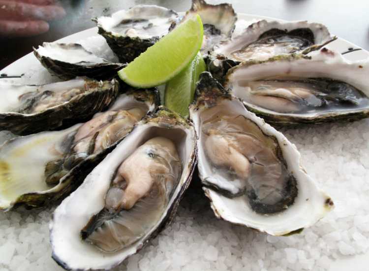 Amazing Foods To Boost Testosterone Level.. 