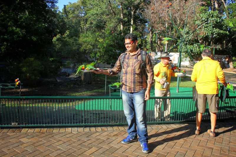 Amazing Journey - Down Under And Kiwis