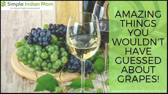 Amazing Things You Wouldn