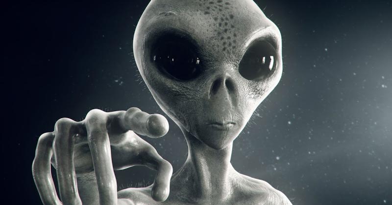 An Alien In A Human Case