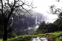 Andharban-Trail through the Dark Foggy Jungle