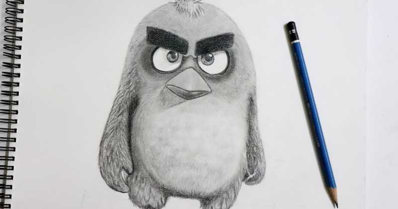 Angry Bird Sketch