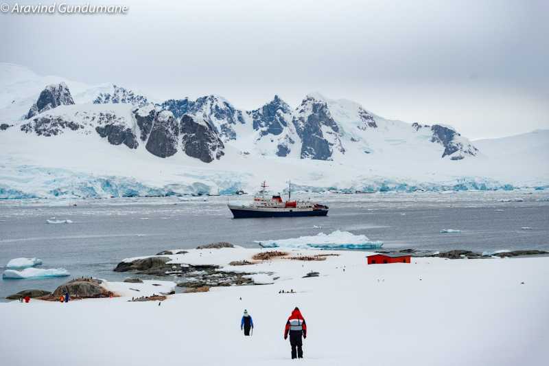Antarctica Travel - Information And Tips - Treks And Travels
