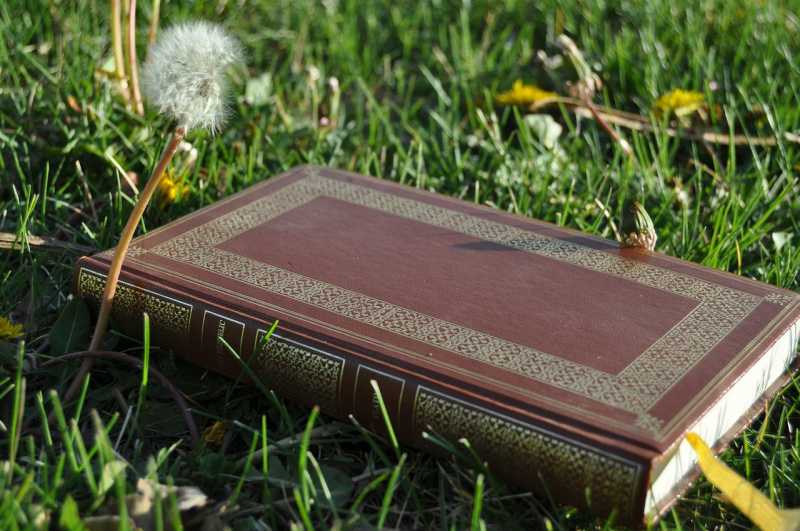 Art Of Reading Philosophy And Philosophy Of Science... - Makeup & Breakup