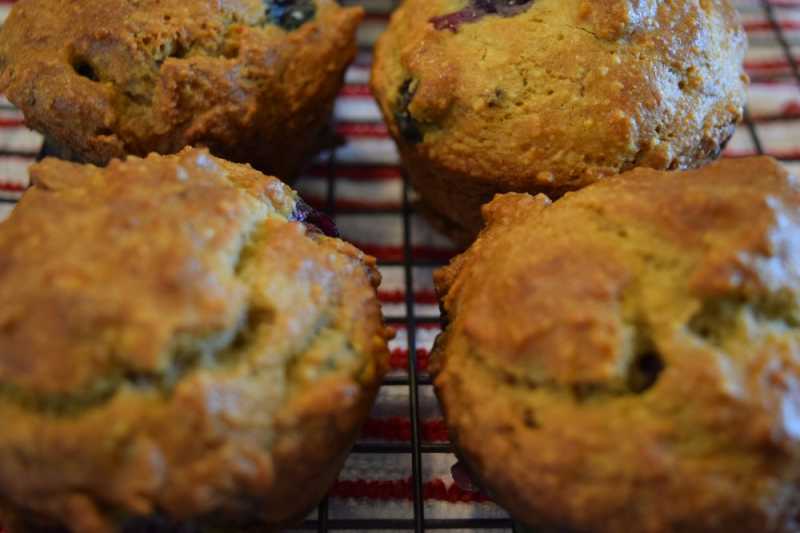 Awesome Diet Blueberry Muffins, Low Carb, Gluten Free, 21 Day Fix Approved | Girl Gloss