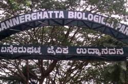 BANNERGHATTA NATIONAL PARK