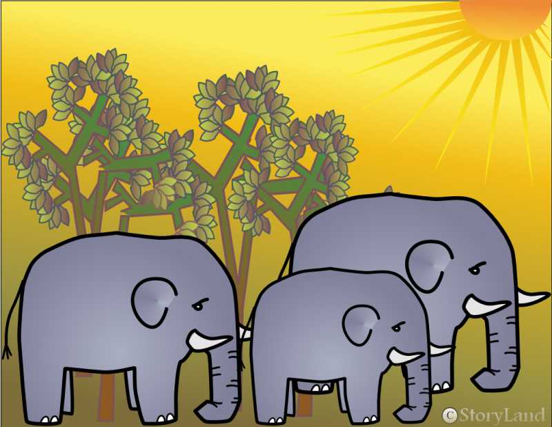 Baby Elephant Makes A New Friend