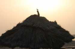 Back from a weekend party!!!