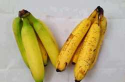 Banana for Breakfast anyone?