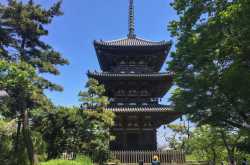 Beautiful Sankeien Gardens in Kanagawa (Yokohama)