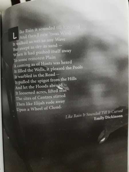 Beneath The Rain Clouds