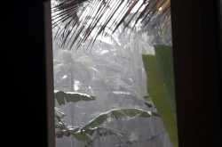 Beneath the rain clouds