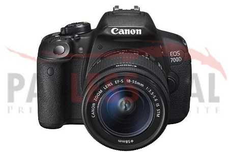 Best 2019 DSLR Cameras You Should Get Your Hands On | Business Meg