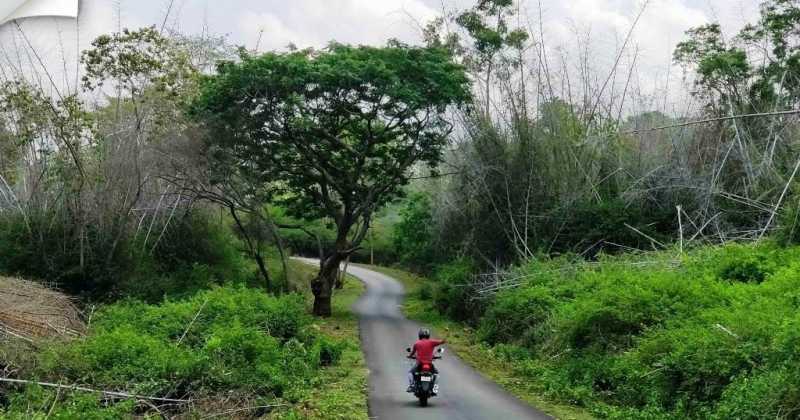 Bettamugilalam And Panchapalli Dam - A Ride Through The Forest 13/05/2018