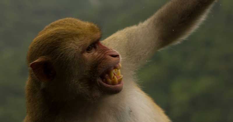 Bharatiya Naari!! How Much Longer??