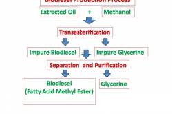 Biodiesel Production Process and Biodiesel Fuel Sources - Biofuel up to date