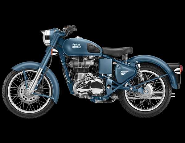 Blue Bull In The House