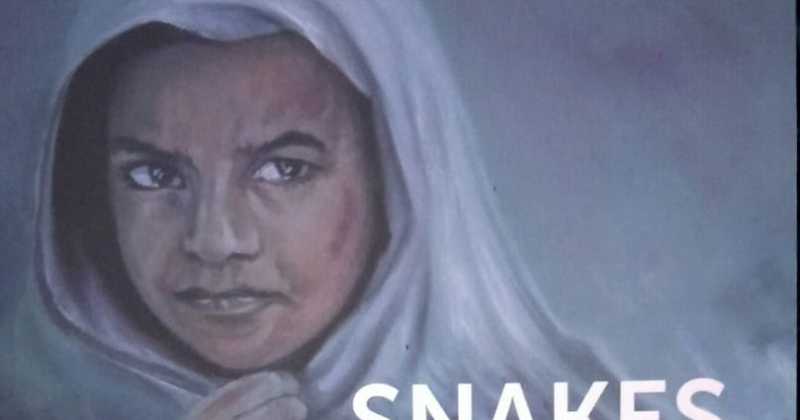 Book Review # 106 Snakes In The Meadows : Ayaz Kohli