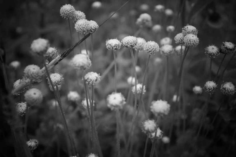 Bookmarked For Eternity