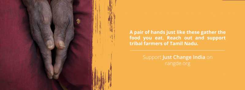 Building An Organic, Adivasi-run Coffee Brand In The Hills Of Tamil Nadu