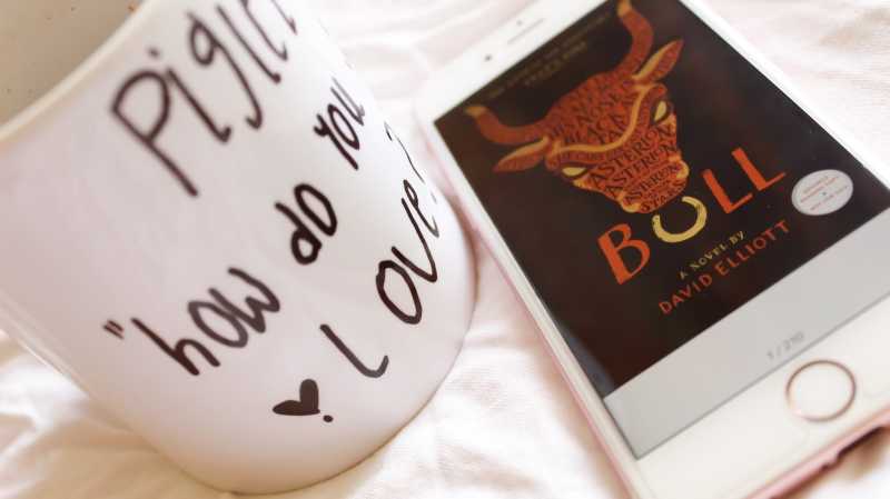 Bull By David Elliot 